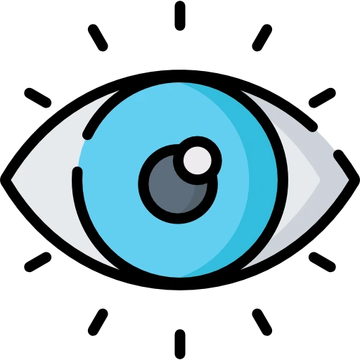 Vision